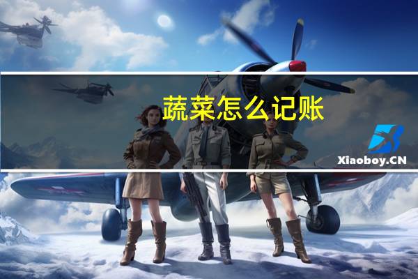 蔬菜怎么记账