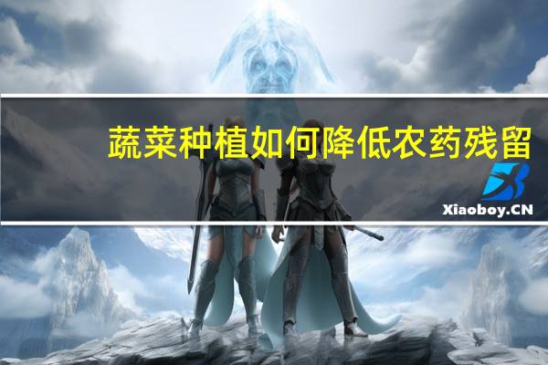 蔬菜种植如何降低农药残留
