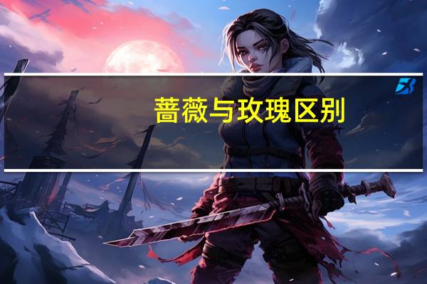 蔷薇与玫瑰区别