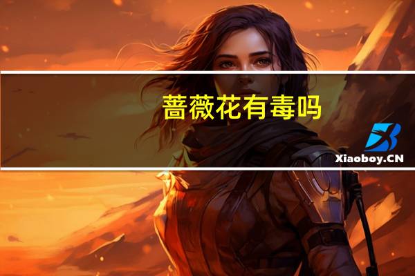蔷薇花有毒吗