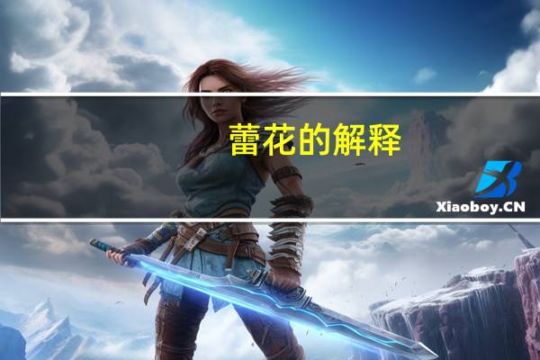 蕾花的解释