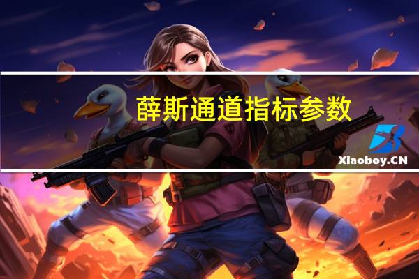 薛斯通道指标参数