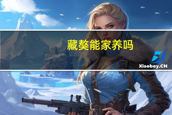 藏獒能家养吗