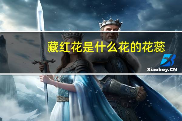 藏红花是什么花的花蕊