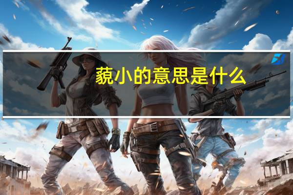 藐小的意思是什么