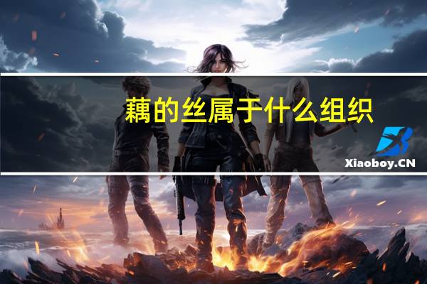 藕的丝属于什么组织