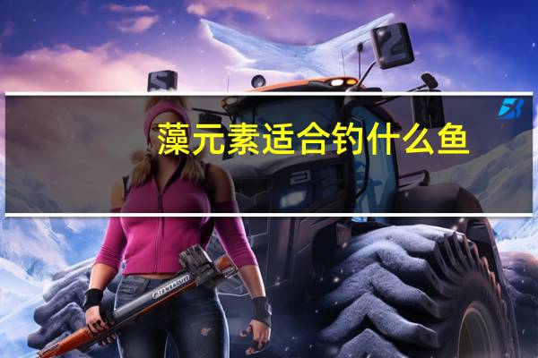 藻元素适合钓什么鱼