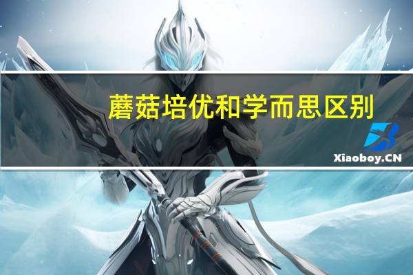 蘑菇培优和学而思区别