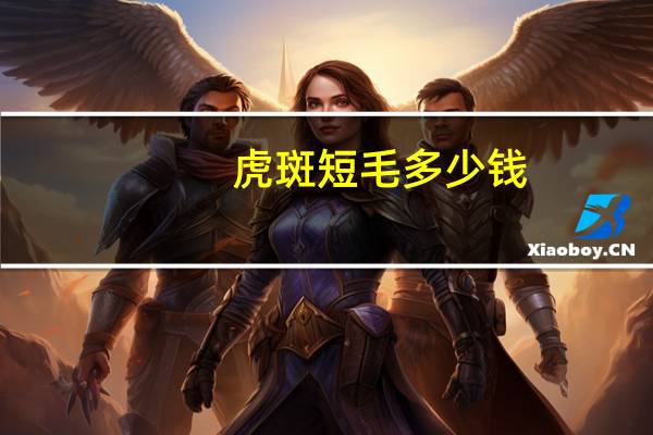 虎斑短毛 多少钱