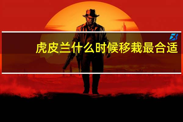 虎皮兰什么时候移栽最合适