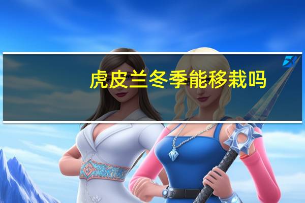 虎皮兰冬季能移栽吗