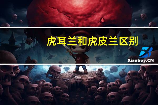 虎耳兰和虎皮兰区别