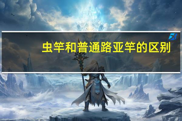 虫竿和普通路亚竿的区别