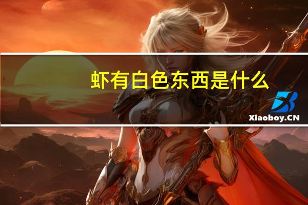 虾有白色东西是什么