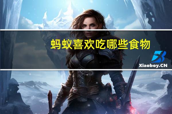 蚂蚁喜欢吃哪些食物