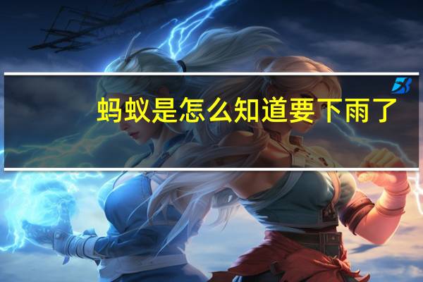 蚂蚁是怎么知道要下雨了
