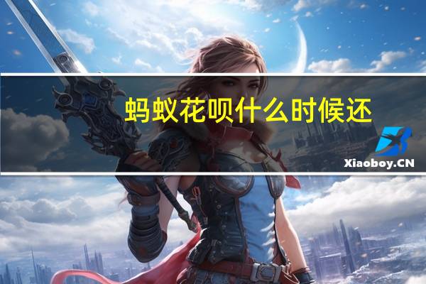 蚂蚁花呗什么时候还