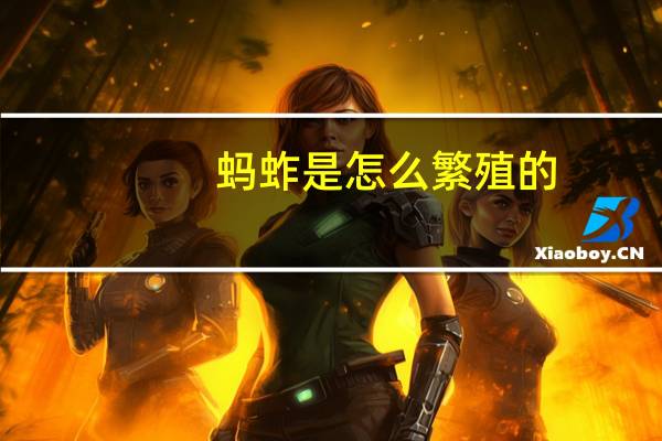 蚂蚱是怎么繁殖的