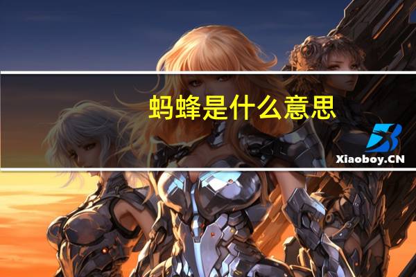 蚂蜂是什么意思