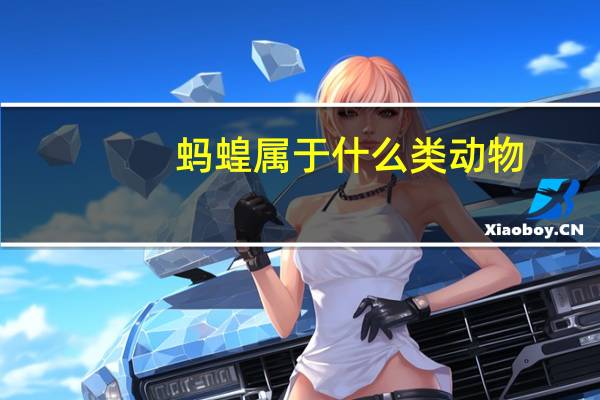蚂蝗属于什么类动物