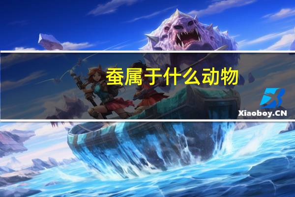蚕属于什么动物