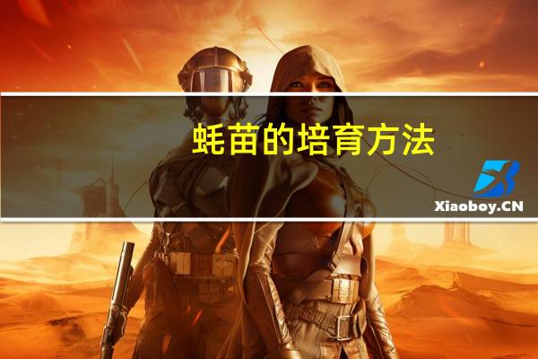 蚝苗的培育方法