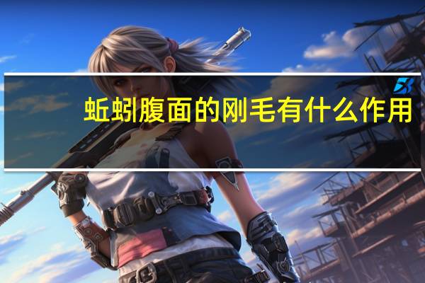 蚯蚓腹面的刚毛有什么作用