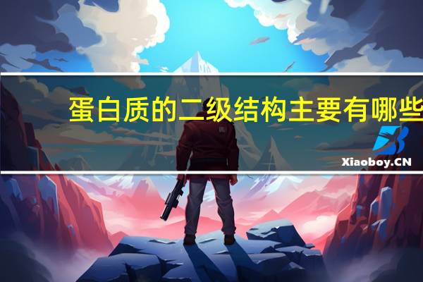 蛋白质的二级结构主要有哪些