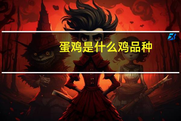蛋鸡是什么鸡品种