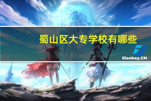 蜀山区大专学校有哪些