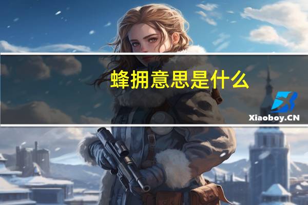 蜂拥意思是什么