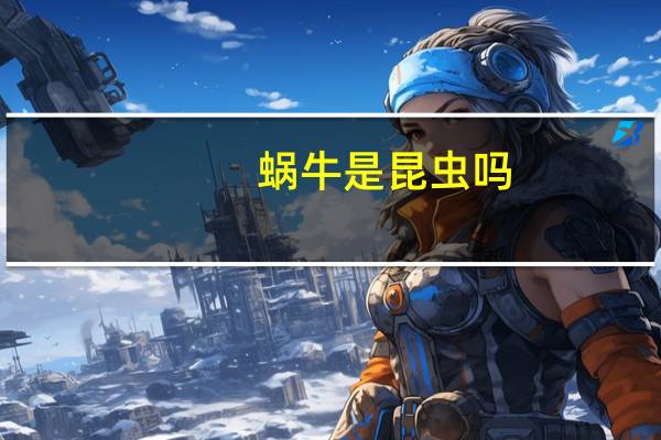 蜗牛是昆虫吗