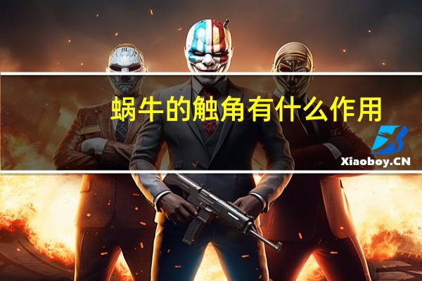 蜗牛的触角有什么作用