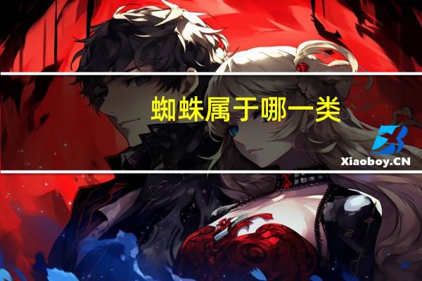 蜘蛛属于哪一类