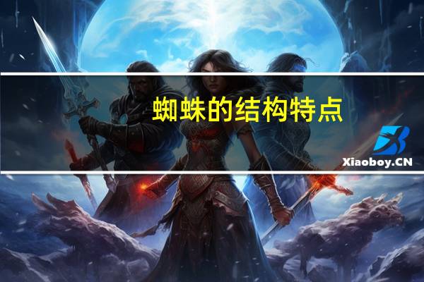 蜘蛛的结构特点