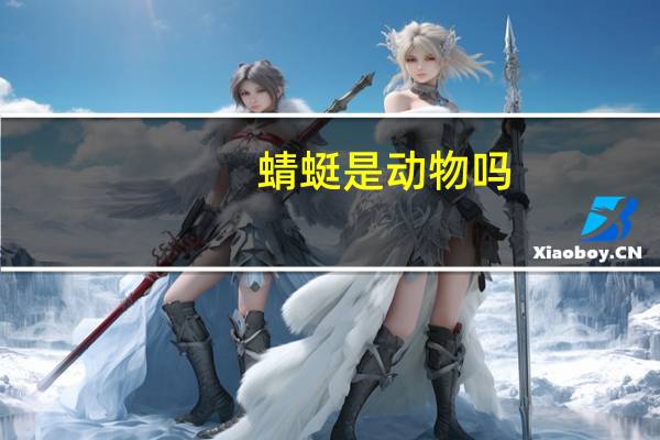 蜻蜓是动物吗