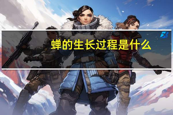 蝉的生长过程是什么