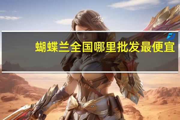 蝴蝶兰全国哪里批发最便宜