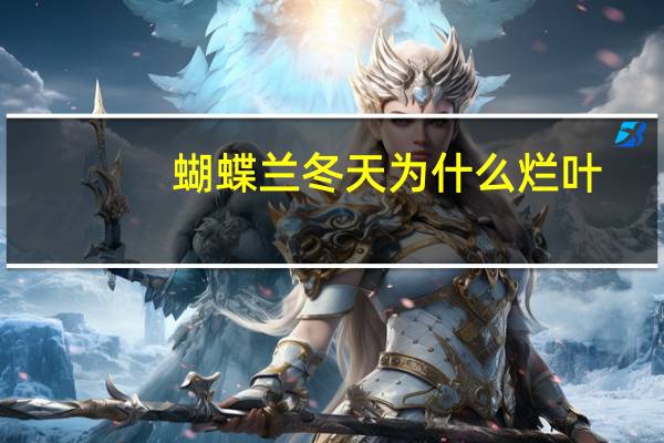 蝴蝶兰冬天为什么烂叶