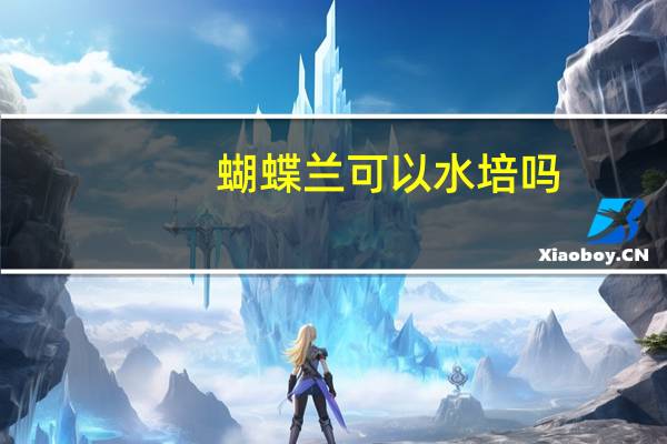 蝴蝶兰可以水培吗