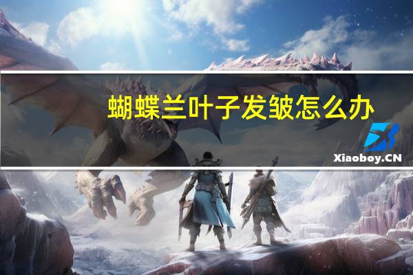 蝴蝶兰叶子发皱怎么办