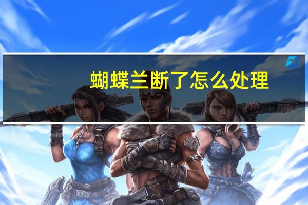 蝴蝶兰断了怎么处理