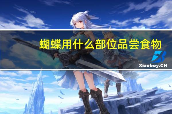 蝴蝶用什么部位品尝食物