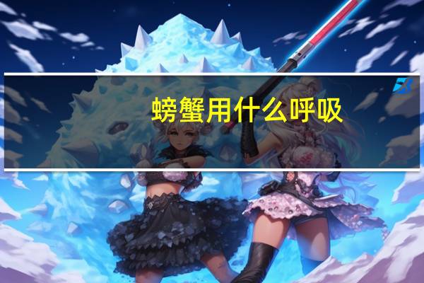 螃蟹用什么呼吸