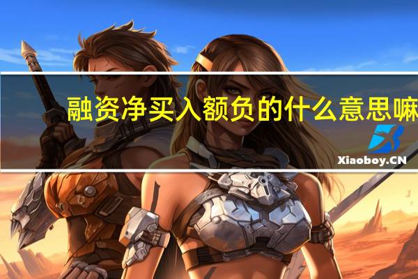 融资净买入额负的什么意思嘛