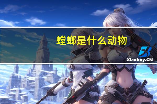 螳螂是什么动物