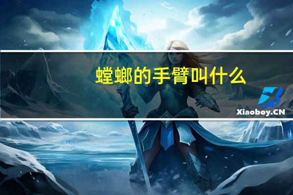 螳螂的手臂叫什么