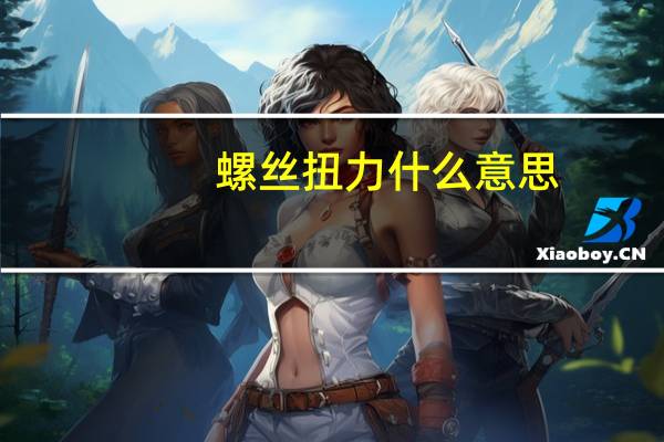 螺丝扭力什么意思