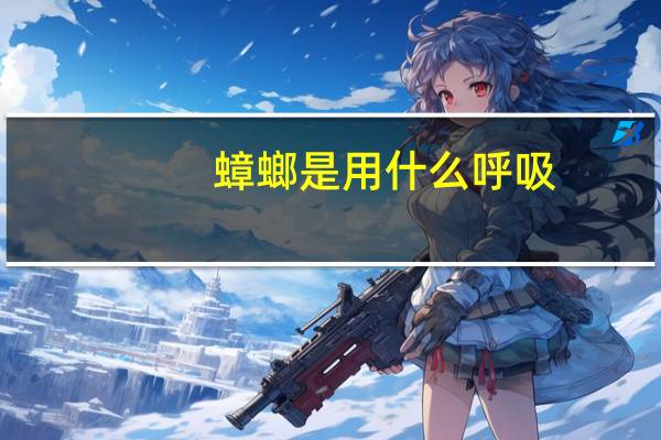 蟑螂是用什么呼吸