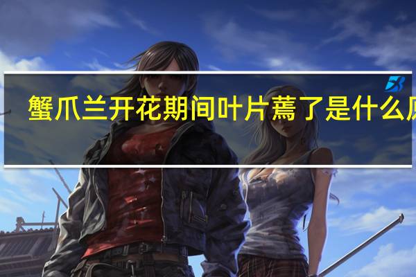 蟹爪兰开花期间叶片蔫了是什么原因